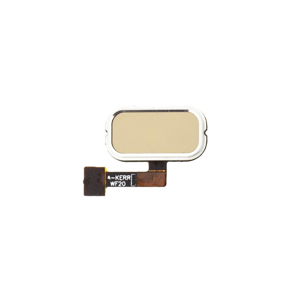 Flex Fingerprint Asus Zenfone 3, ZE552KL, Gold