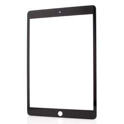 [53761] Geam Sticla iPad 10.2, Black